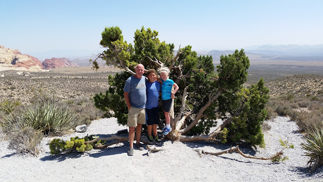 More Pictures From Our August 2015 Trip To Vegas:  Red Rock Canyon  --How Did I Get Here? My Amazing Genealogy Journey, Andrea Kelleher