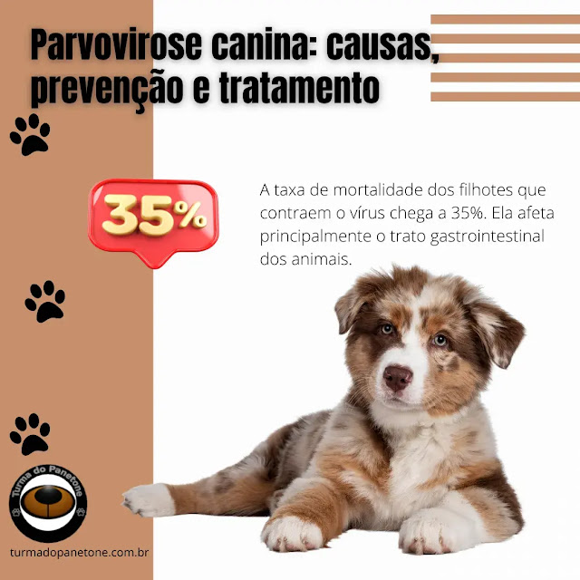 Parvovirose canina: causas, prevenção e tratamento