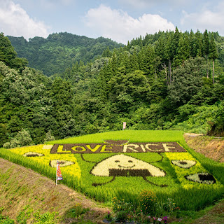 十日町の棚田アート