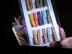 clothes pin pic