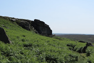 The gritstone edge viewed from halfway down across a mass of bracken.