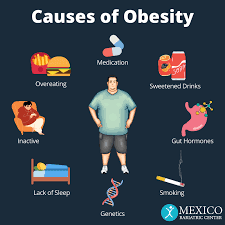 Overweight How An Obese Person Can Lose Weight