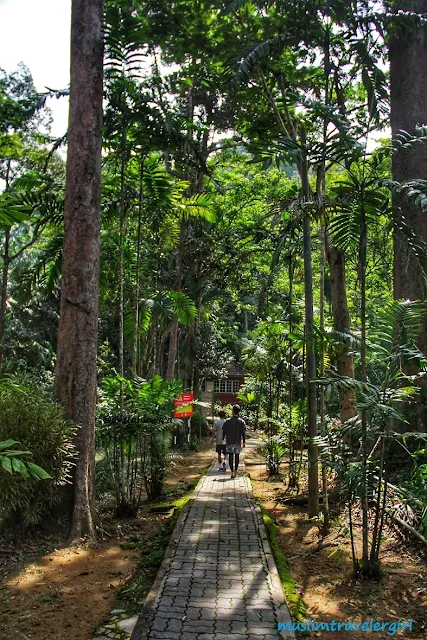 air terjun lata kekabu