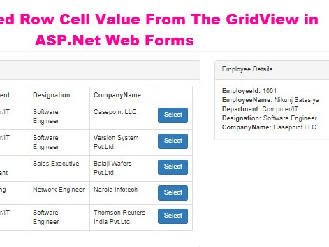 How to Get Selected Row Cell Value From The GridView in ASP.Net Web Forms