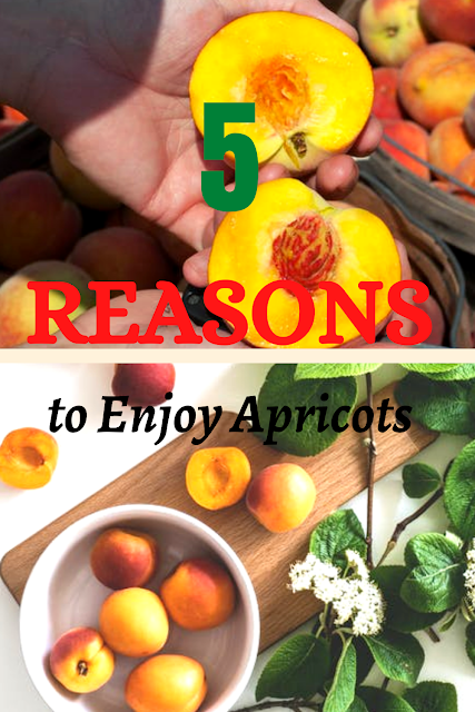 5 Reasons to Enjoy Apricots
