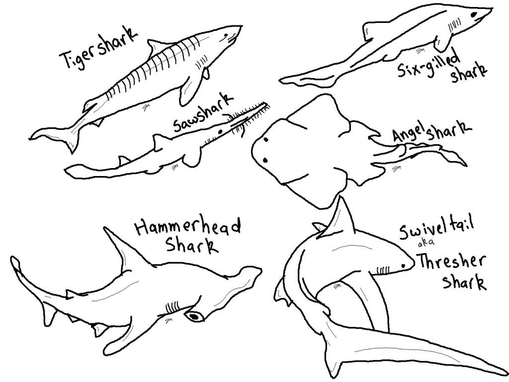 Sharks Coloring Pages 8
