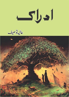 Idraak Urdu Novel By Aliya Tauseef