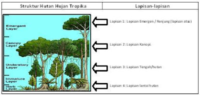 Pagar Museh: PECUTAN TERAKHIR [SOALAN DAN SKEMA GEOGRAFI 