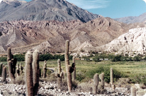 Quebrada_del_Toro