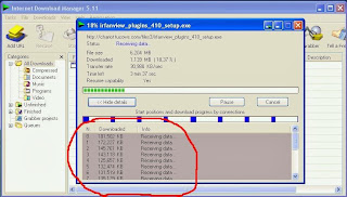 Internet-Download-Manager