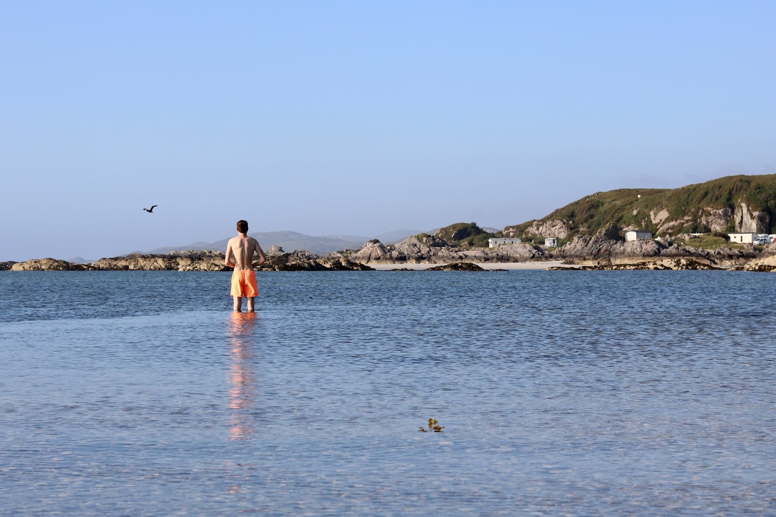 Cal Mc enjoying a dip in the sea in Arisaig 