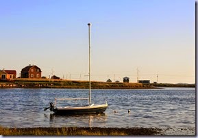 IMG_0595