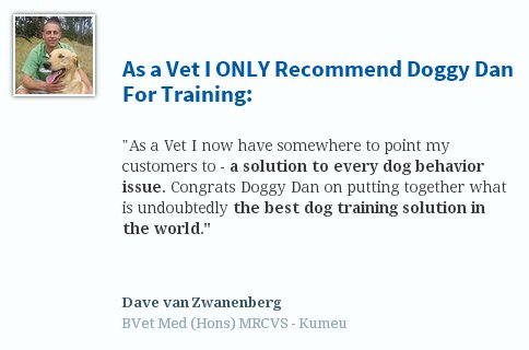  The best online dog training course