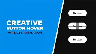 css button hover animation