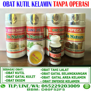 Obat Kutil Kelamin