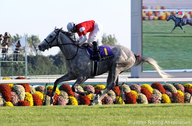 Giappone: Gold Ship vince il Takarazuka Kinen. Il grigio ha come obiettivi l'Arc de Triomphe o la Breeders' Cup Turf