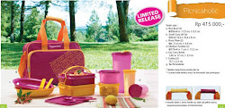 Katalog Promo Tupperware Juni 2013 - Picnicaholic