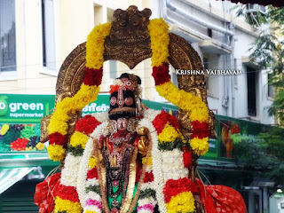 Sri Aandal,Aadipooram,Purappadu,Video, Divya Prabhandam,Sri Parthasarathy Perumal, Triplicane,Thiruvallikeni,Utsavam,