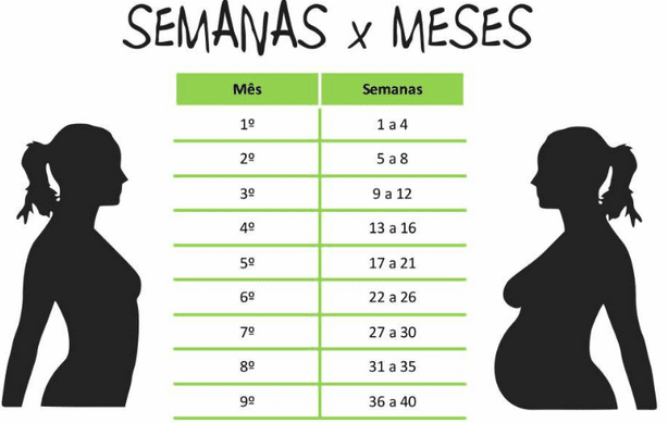 23 semanas são quantos meses