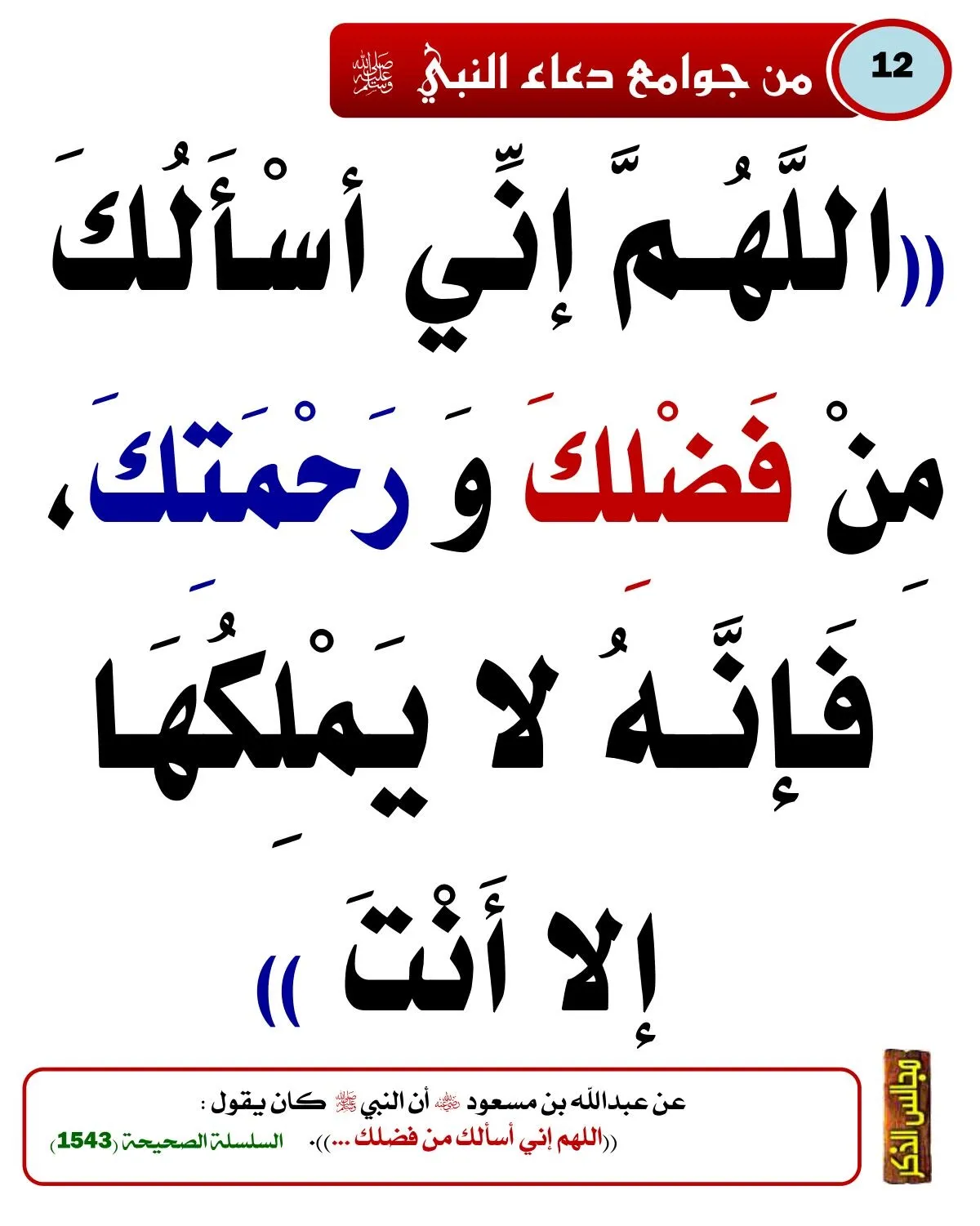 دعاء شهر رمضان,أدعية رمضان قصيرة,أدعية العشرة الأواخر من رمضان,دعاء مستجاب للعشرة الأواخر من رمضان,أدعية,أدعية أيام شهر رمضان,شهر رمضان,آداب الدعاء المستجاب,دعاء ختام رمضان,دعاء التراويح للشيخ ماهر المعيقلي,الدعاء في المنام,الدعاء للحامل والجنين,الدعاء لتسهيل الولادة,الدعاء قبل الولادة,الدعاء لتثبيت الحمل,الدعاء وقت الولادة,أوقات استجابة الدعاء,دعاء إقتراب شهر رمضان,دعاء الأيام الأولى من شهر رجب,دعاء الرعد,دعاء الرعد والبرق,دعاء الرعد والمطر,دعاء السحور,دعاء الشتاء والمطر,دعاء الشيخ ماهر المعيقلي,دعاء الصائم قبل الإفطار,دعاء القنوت للشيخ ماهر المعيقلي,دعاء المريض لنفسه,دعاء المريض لنفسه بالشفاء العاجل,دعاء المريض لنفسه حصن المسلم,دعاء المريض لنفسه قصير,دعاء المطر الشديد,دعاء المطر المستجاب,دعاء النجاة من الزلزال,دعاء رمضان مكتوب,دعاء رمضان قصير,دعاء عيد الأم,دعاء للشيخ محمد متولي الشعراوي,دعاء مستجاب,دعاء قرب شهر رمضان,دعاء أول شعبان,دعاء من الكتاب والسنة,دعاء نزول المطر للمريض,دعاء يوم الجمعة,دعاء ليلة النصف من شعبان,دعاء لحفظ الجنين,فضل الدعاء في شهر رجب,دعاء وقوع الزلزال,دعاء لأمي بعيد الأم,دعاء مستجاب لأمي المتوفية,