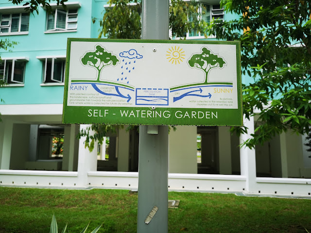 self-watering garden