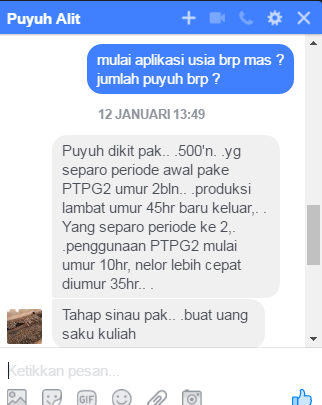 bisnis ternak sapi