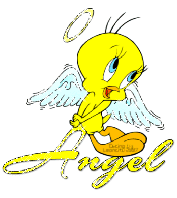 piolin en movimiento (4)