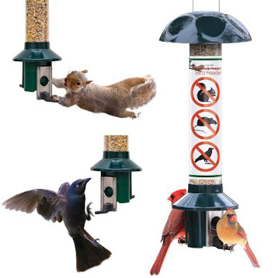 Roamwild Squirrel Proof Bird Feeder