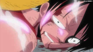 ワンピース アニメ エニエスロビー編 309話 ルフィ Monkey D. Luffy | ONE PIECE Episode 309 Enies Lobby