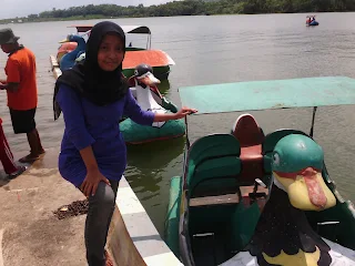 bebek apung waduk gajah mungkur