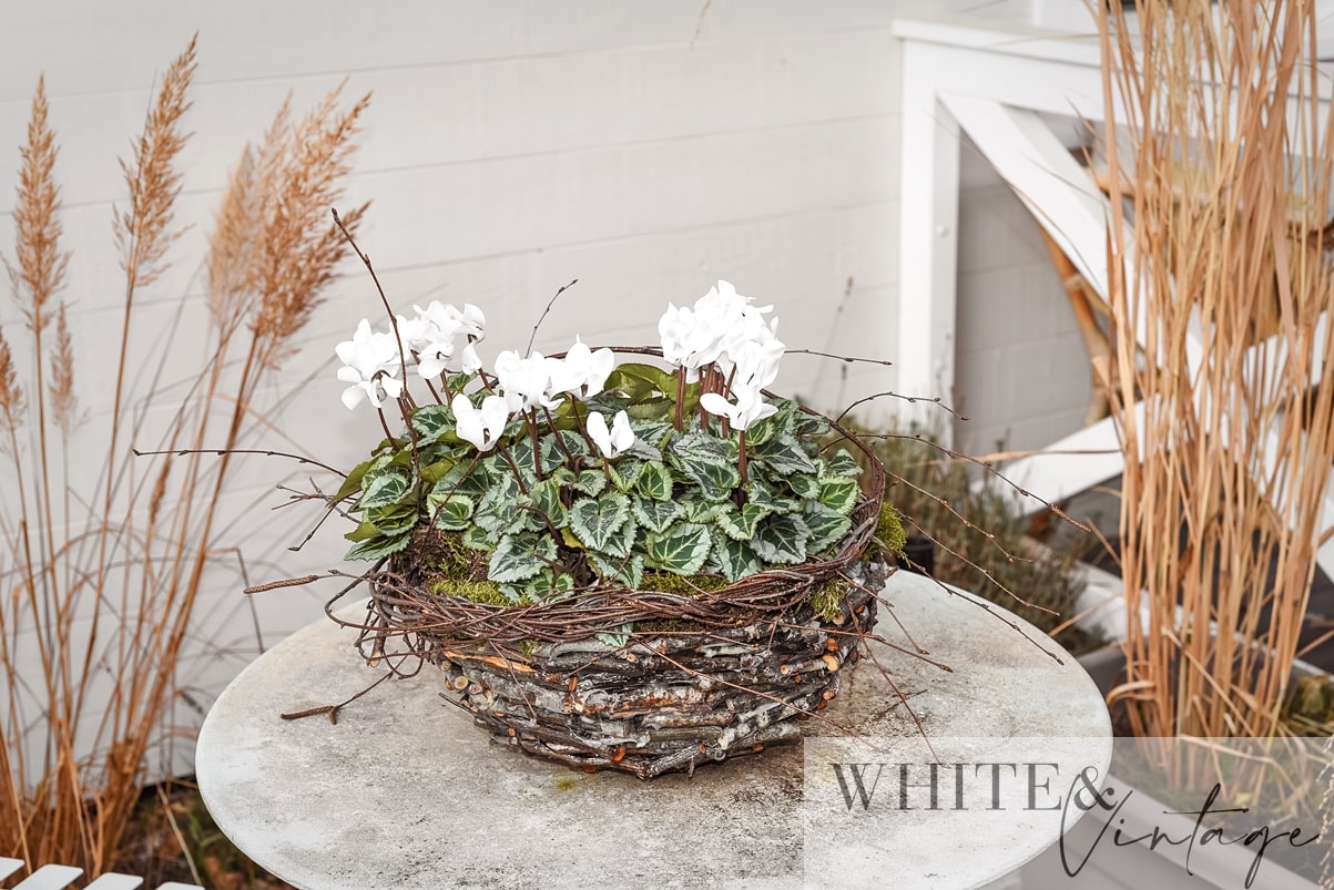 Winterdeko für den Hauseingang: Selbstgemachte Schale mit Hornveilchen und Moos bepflanzen.
