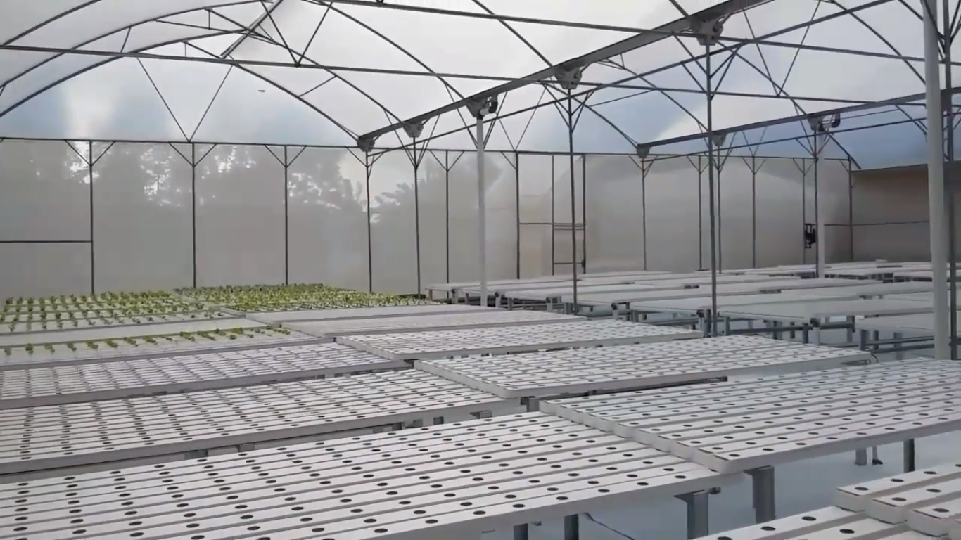 Inilah 5 Manfaat Pembangunan Greenhouse  Untuk Budidaya 