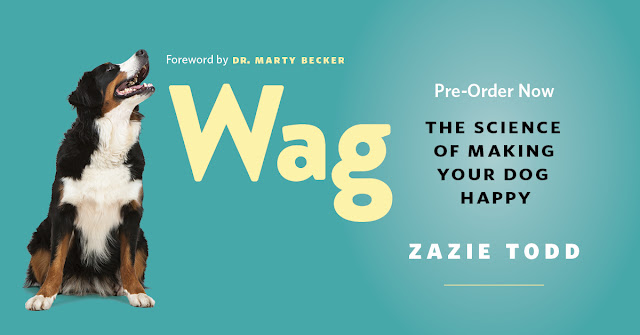 Preorder Wag: The Science of Making Your Dog Happy