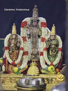 Sri TheliyaSingar , Sri Gajendra Varadhar, Samrokshanam, 2016, Video, Divya Prabhandam,Sri Parthasarathy Perumal, Triplicane,Thiruvallikeni,Utsavam,