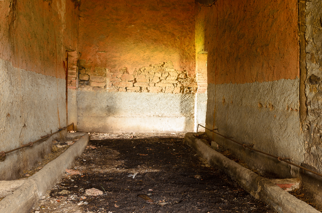 Fábrica de harina abandonada