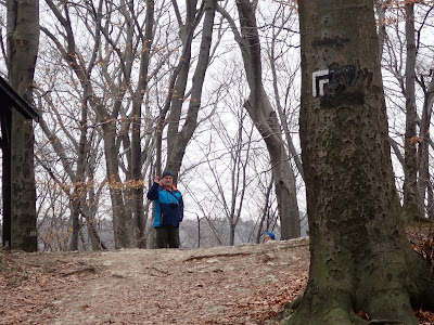 Ojcowski Park Narodowy, Dolina Sąspowska, grzyby 2019, grzyby zimowe, grzyby w Ojcowie