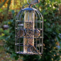 Garden Bird Feeder