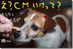 今日カズ０９１２１８　５