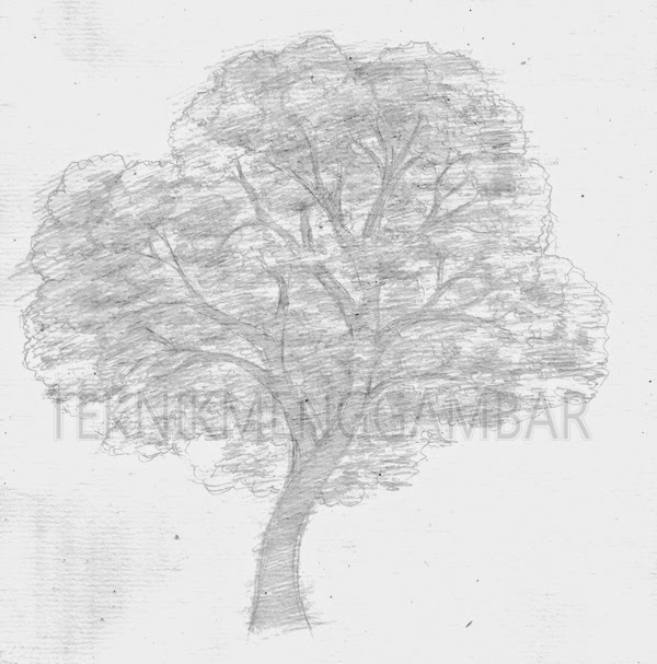 Ide 78 Gambar Lukisan Pohon Dari Pensil