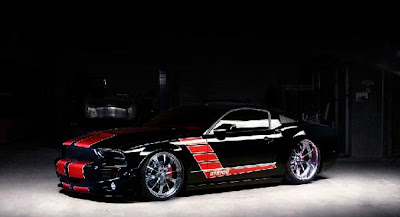 Mustang Aro 24"