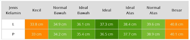 Tabel Ukuran Lingkar Kepala Bayi