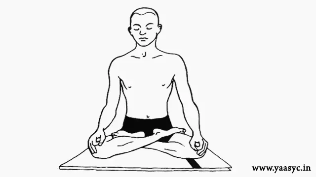 Padmasana-Kaise-Karen
