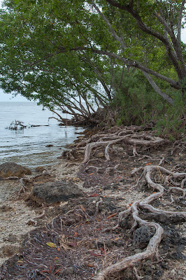 Biscayne National Park