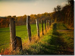 PB081516_400_300
