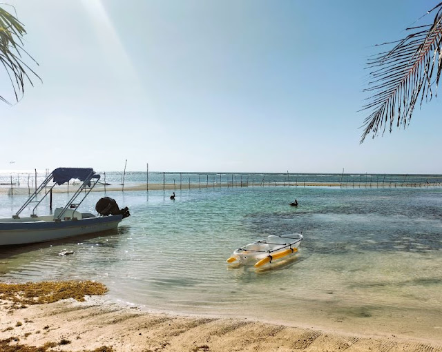 spiaggia libera Mahahual