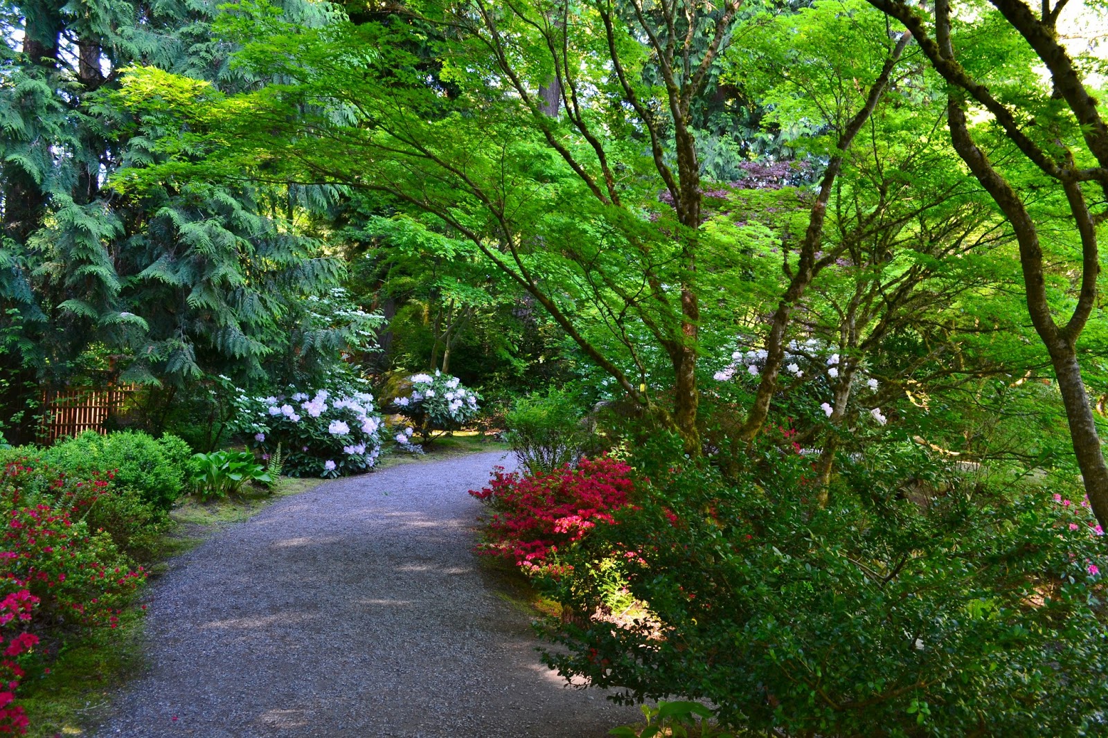 Linda Letters:: Sunday Morning Stroll - Bellevue Botanical ...