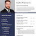 Free resume template in Word format French language template (11)