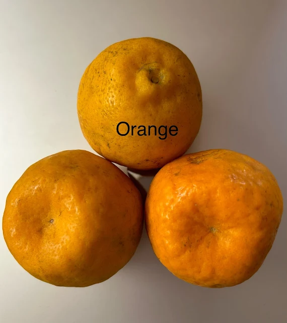 orange contains vitamin C