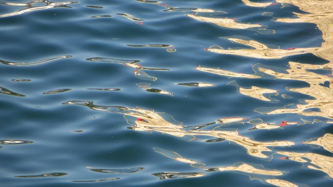  Újpesten a Dunába fulladt egy nő