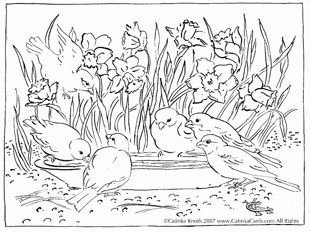  Nature Scene Coloring Pages Zoo Scene Coloring Pages  Az Coloring Pages  